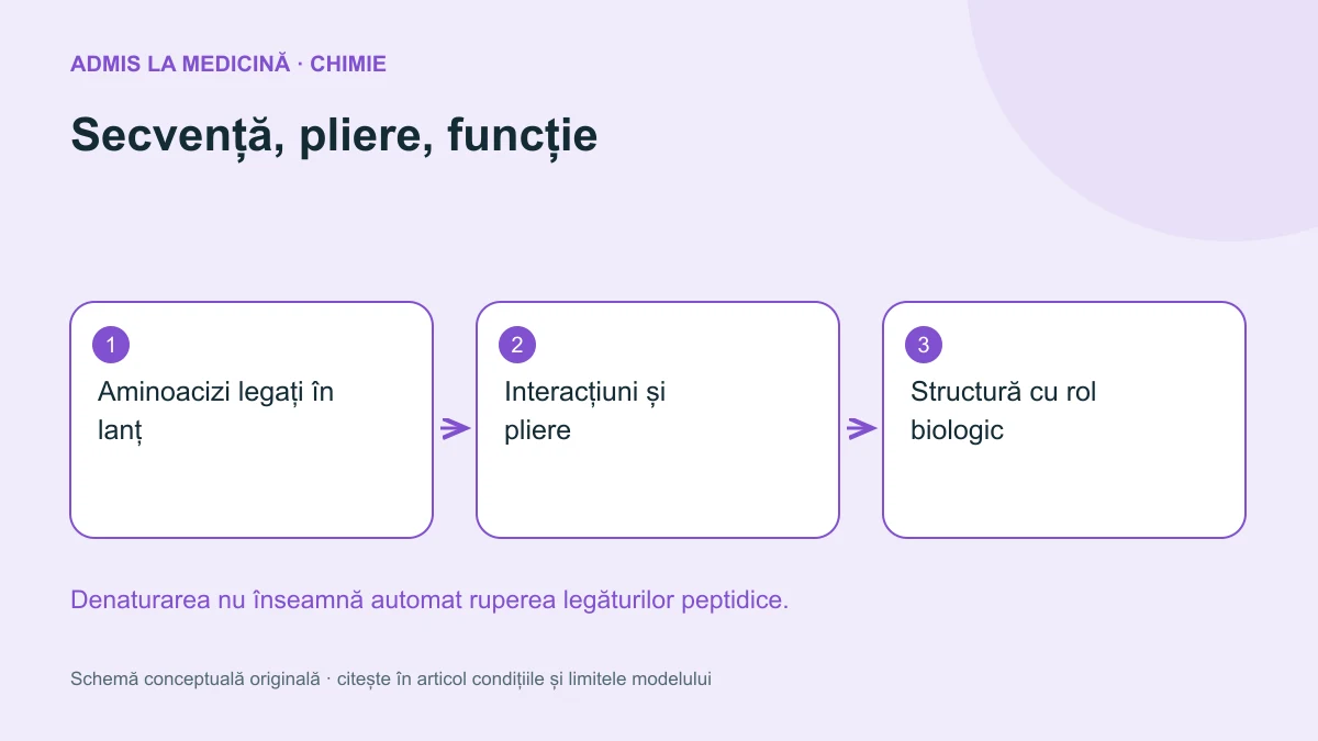 Secvență, pliere, funcție. Schemă conceptuală originală Admis la Medicină.
