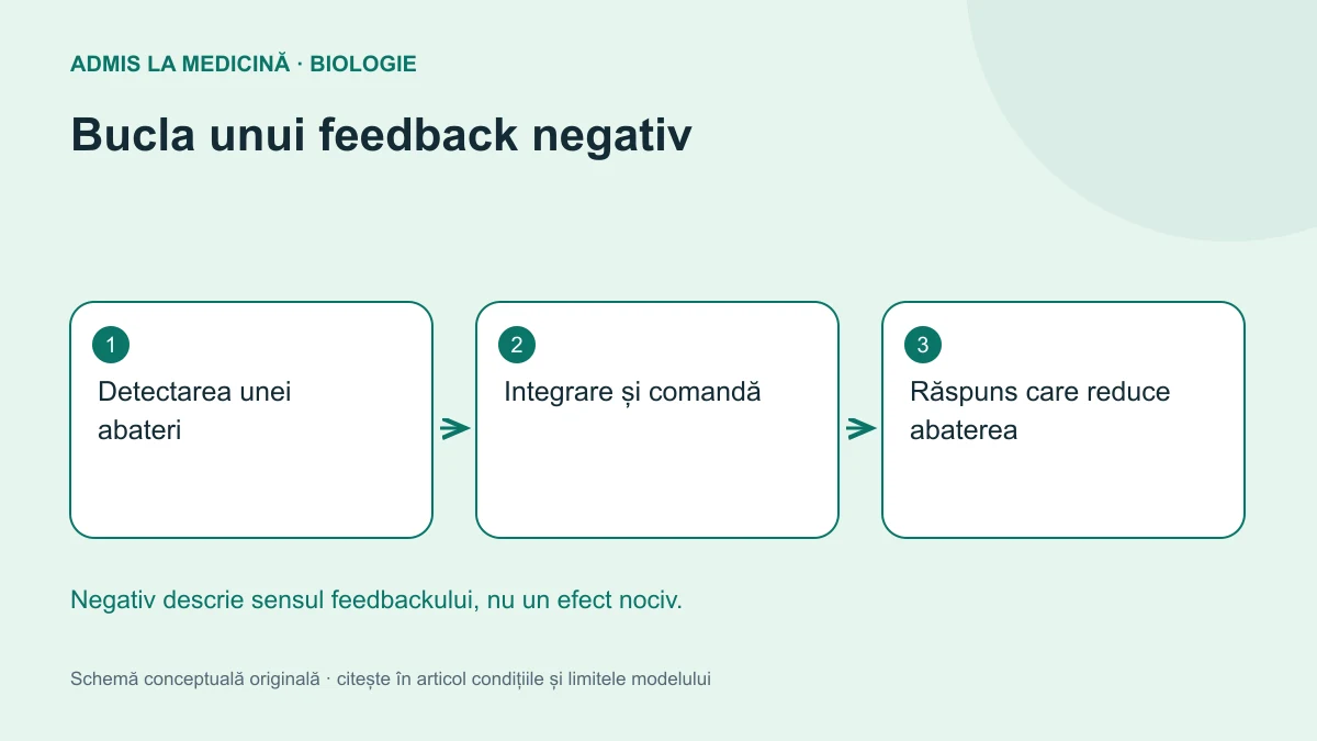 Bucla unui feedback negativ. Schemă conceptuală originală Admis la Medicină.