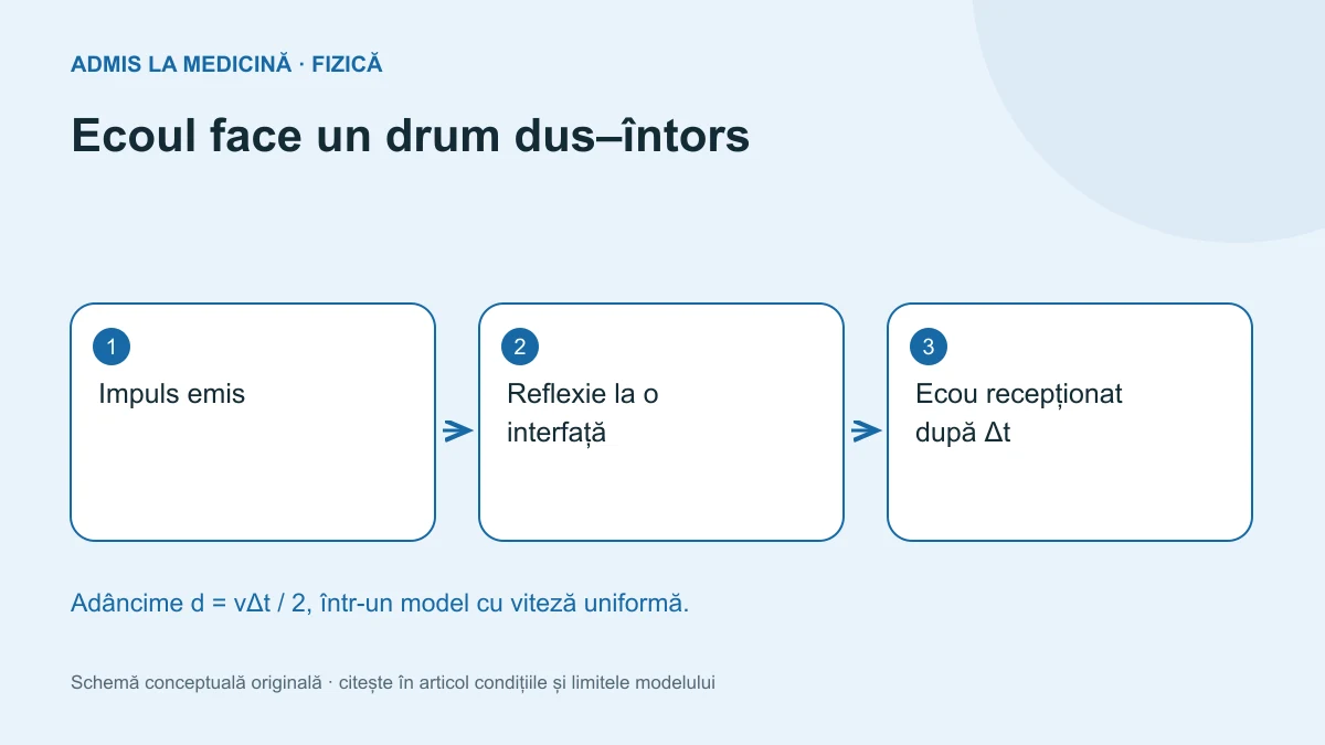 Ecoul face un drum dus–întors. Schemă conceptuală originală Admis la Medicină.